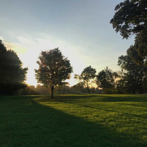 Meet your Posher, Krista - Picture 1 of 2